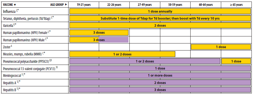 Adult immunization schedule by age group
