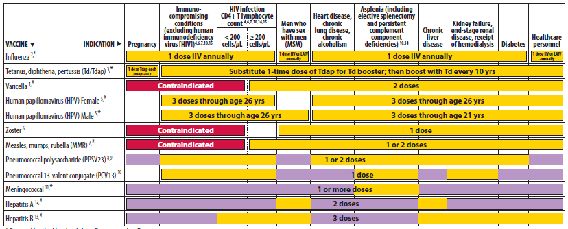 Adult immunization schedule by medical indication